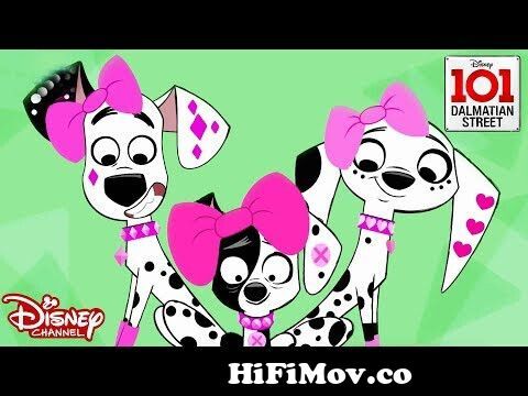 ðŸ¤©The Woof Factor | 101 Dalmatian Street | Disney Channel Africa from dolly  dalmatian Watch Video - MyPornVid.fun