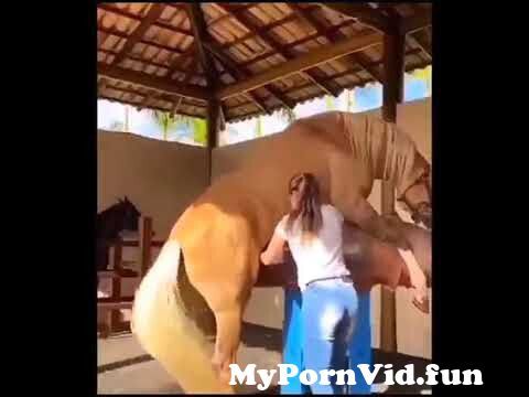 Fuck videos girl horse porno Horse