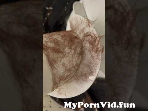Heary porno Hairy Sex