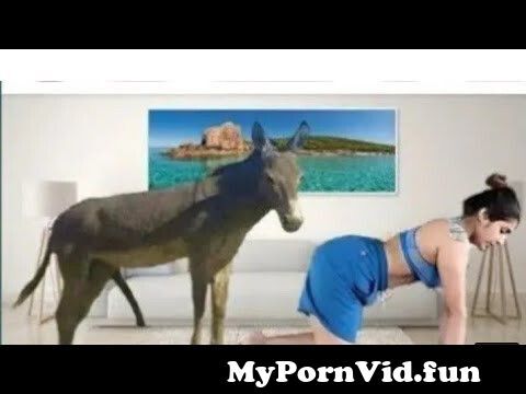 Sexevidoes - new animal donkey with man meeting new amazing vedio from sexevidoes Watch  Video - MyPornVid.fun