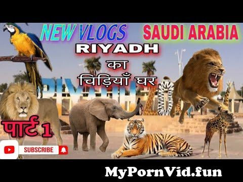 Porn and zoo in Riyadh