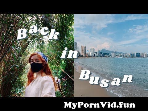 Many porn in Busan
