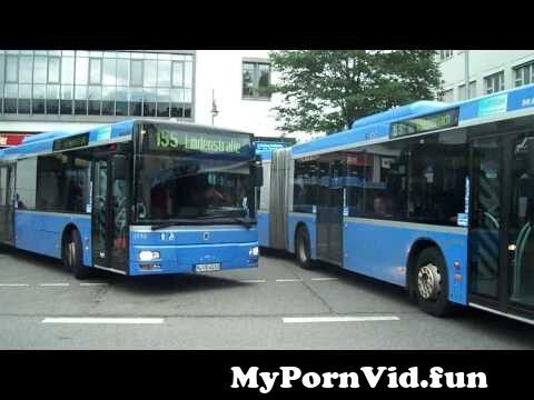 German bus porn