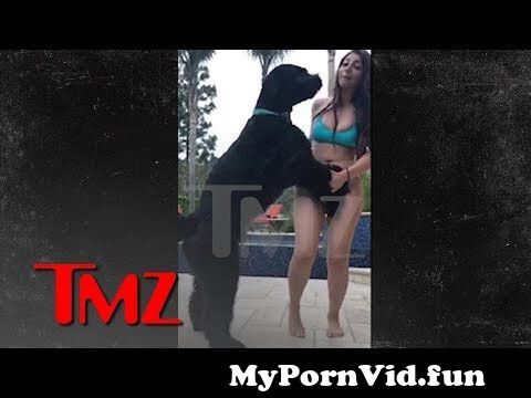 A girl with dog sex in Chennai