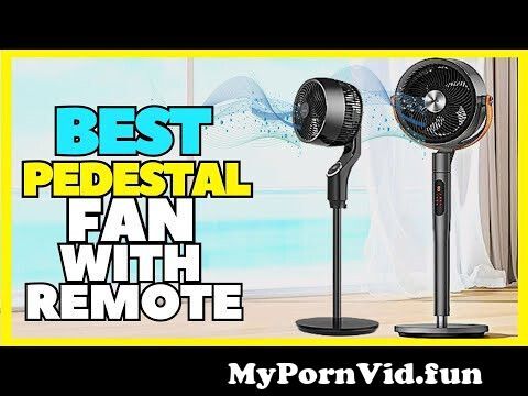 Top 5 Best Oscillating Pedestal Fan With Remote Control 2023 | Ultra Quiet Noiseless from polyfan 76 Watch Video - MyPornVid.fun
