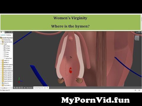 Video First Sex Virgin Blood