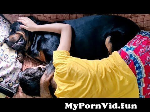 Agra dog in girl sex with Agra Girl