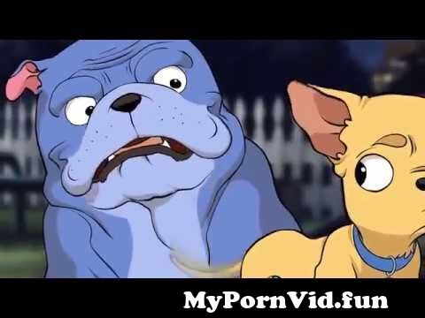 Funny Cartoon For Adults Animated Dogs talk || Sex and the City from funny  sex cartoon videos Watch Video 