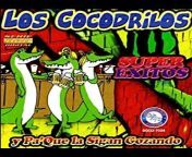 Guanacos Land 503