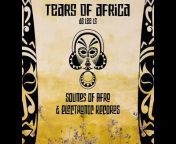 Sounds Of Afro u0026 Electronic Records
