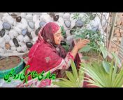 Pathani Village Vlogs
