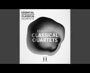 The Sibelius Academy Quartet - Topic