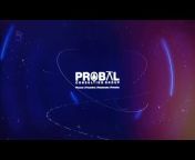 Probal Consulting Group