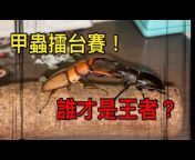 神秘’s Beetle
