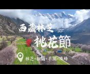 西藏域龙旅行社