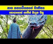 Sinhala TVcaps