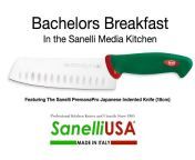 SanelliUSA- Official Site For Sanelli Knives