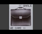 Whale - Topic