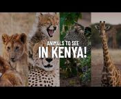 Kenya Wild Parks