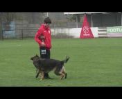DogSport video Holland
