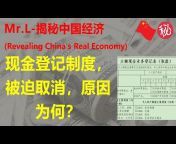Mr. L-揭秘中国经济 (Revealing China&#39;s Real Economy)