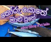 Golden Fishermen SL