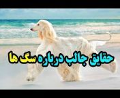 Best Top Farsi