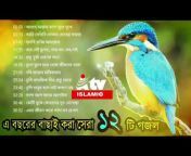 A Media Tv Bangla