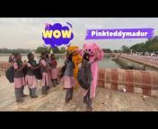 Pinkteddymadurai