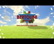 Bertolini Pumps