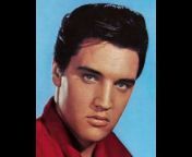 Elvis 4 Ever