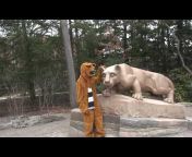 Penn State Admissions