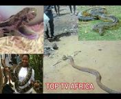 TOP TV AFRICA