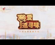 广东电视大湾区频道 China Guangdong TV GBA Channel