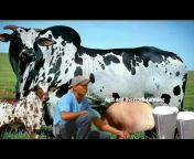 Agri u0026 livestock Farming 3.4M Views