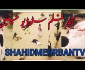 Shahid Meharban TV