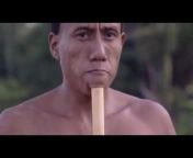 Povos Indígenas no Brasil
