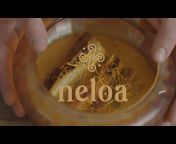 Neloa Foods