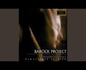 Barock Project - Topic
