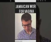 Jamaica funny videos