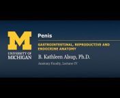 BlueLink: University of Michigan Anatomy