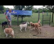 Kutyaközpont kutyaiskola kiképzőbázis kutyapanzió