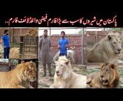 Multan Pets