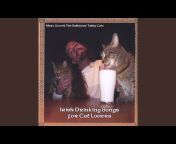 Marc Gunn u0026 the Dubliners&#39; Tabby Cats - Topic