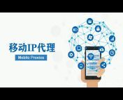 代理IP中文网