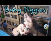 Cavy Central Guinea Pig Rescue with Lyn