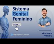 Canal da Anatomia - Prof. Evandro Cittadin Soares