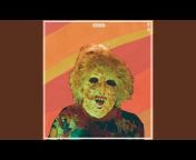 Ty Segall - Topic