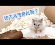 快樂倉鼠 Hamster TV