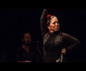 Casa Patas, flamenco en vivo